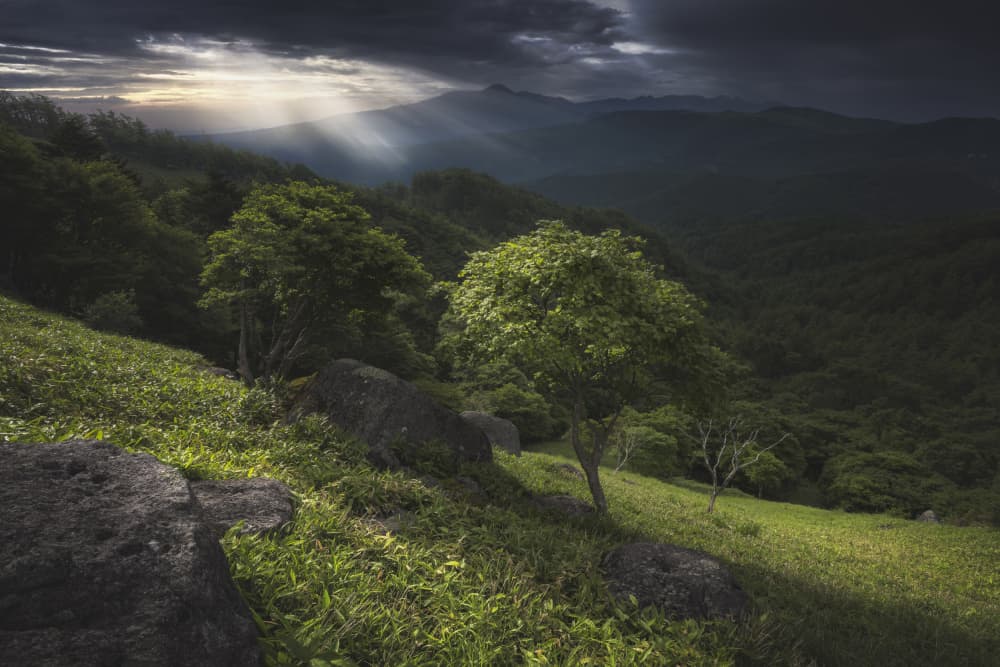 Green Hillside Sun Rays by Masaki Sugita — canvas wall art