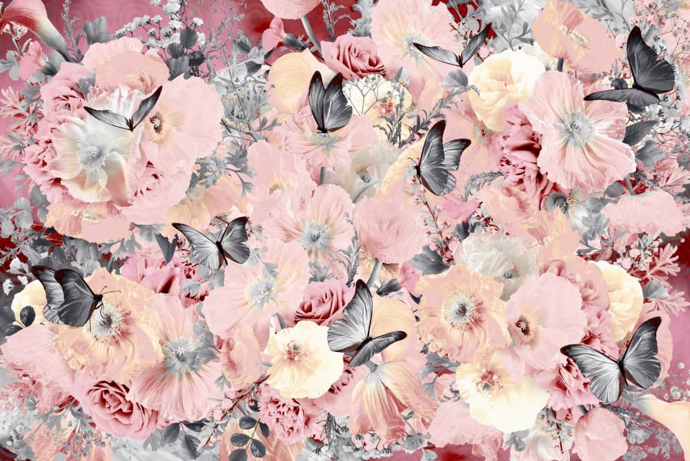 Dreamy Pink Blooms by Sue Skellern — canvas wall art