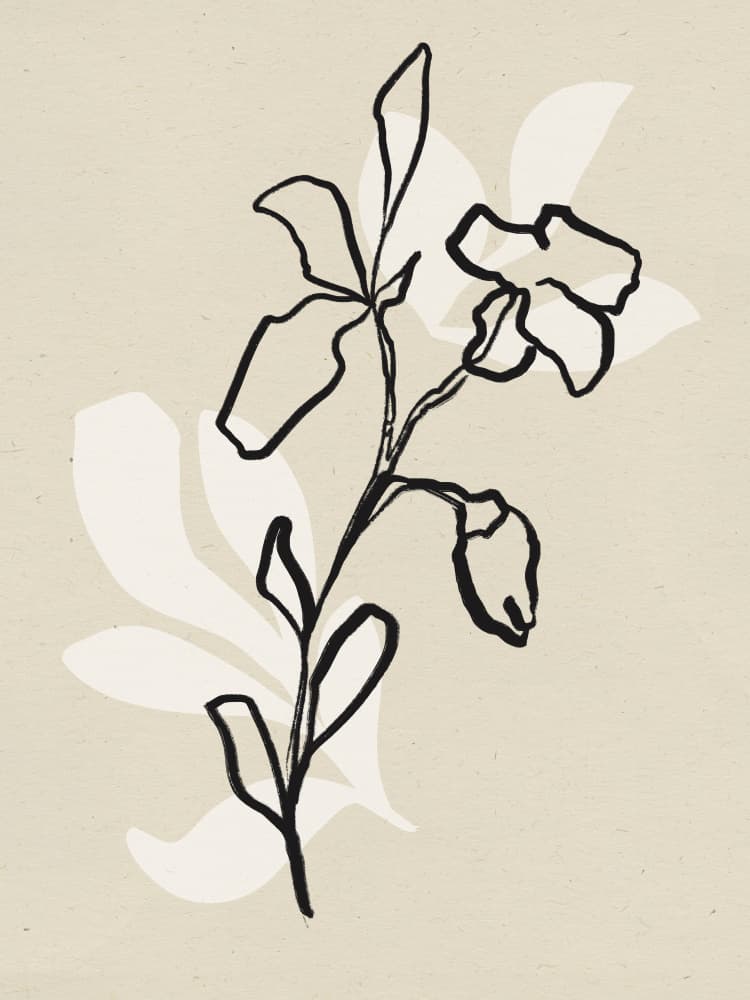 Botanical Linework by Treechild — canvas wall art