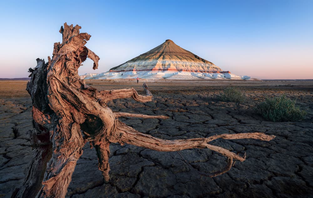 Weathered Stump Layered Mountain by YANGYING — canvas wall art