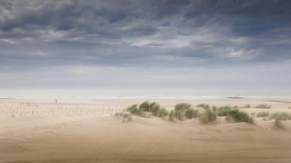 Breezy summer by Bruno Flour — canvas wall art