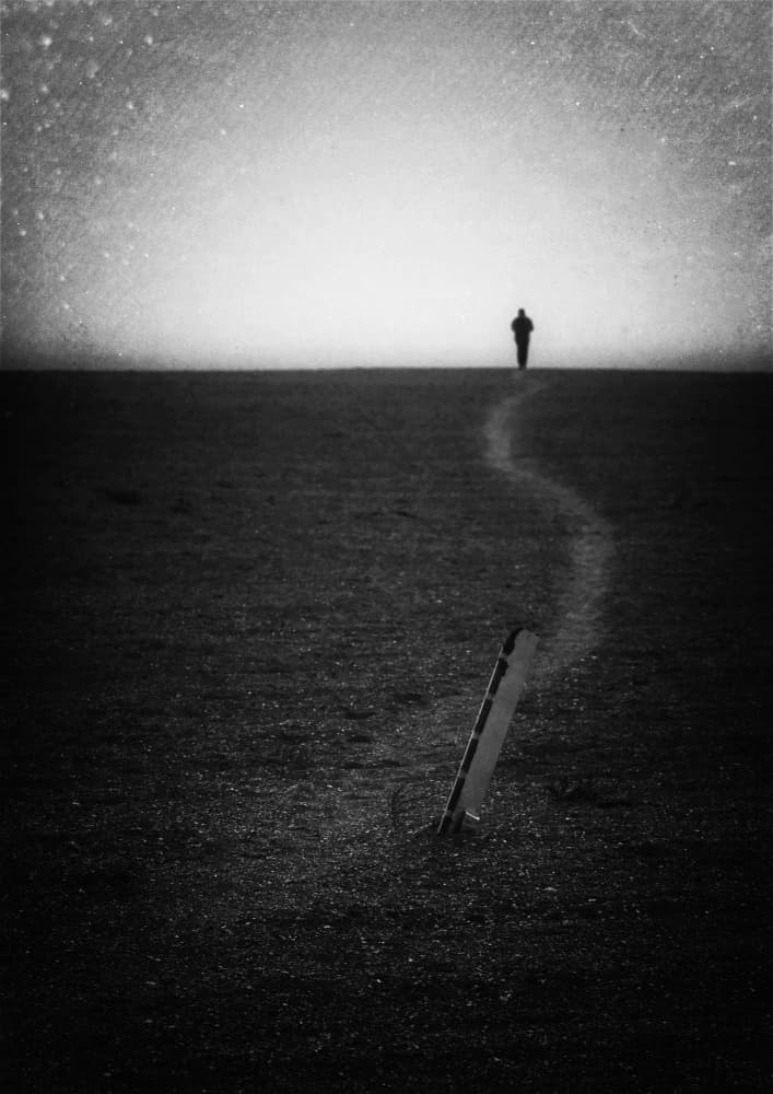 Solitary Journey by Emilian Avramescu — canvas wall art
