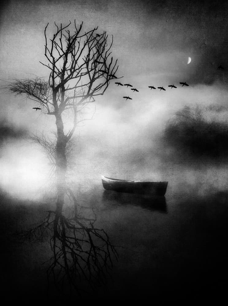 Misty Lake Solitude by Charlaine Gerber — canvas wall art