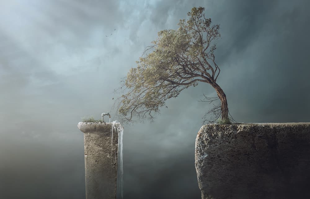 Windswept Tree Cliff by Sulaiman Almawash — canvas wall art