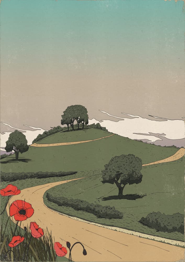 Poppy Country Road by Nicholas — canvas wall art