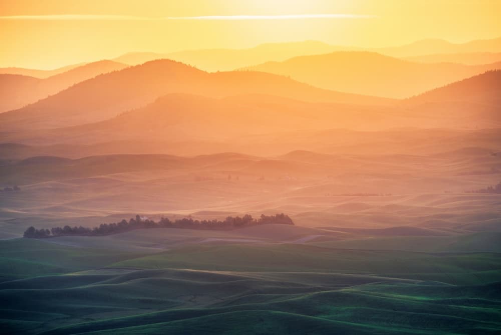 Golden Rolling Hills by Naphat Chantaravisoot — canvas wall art