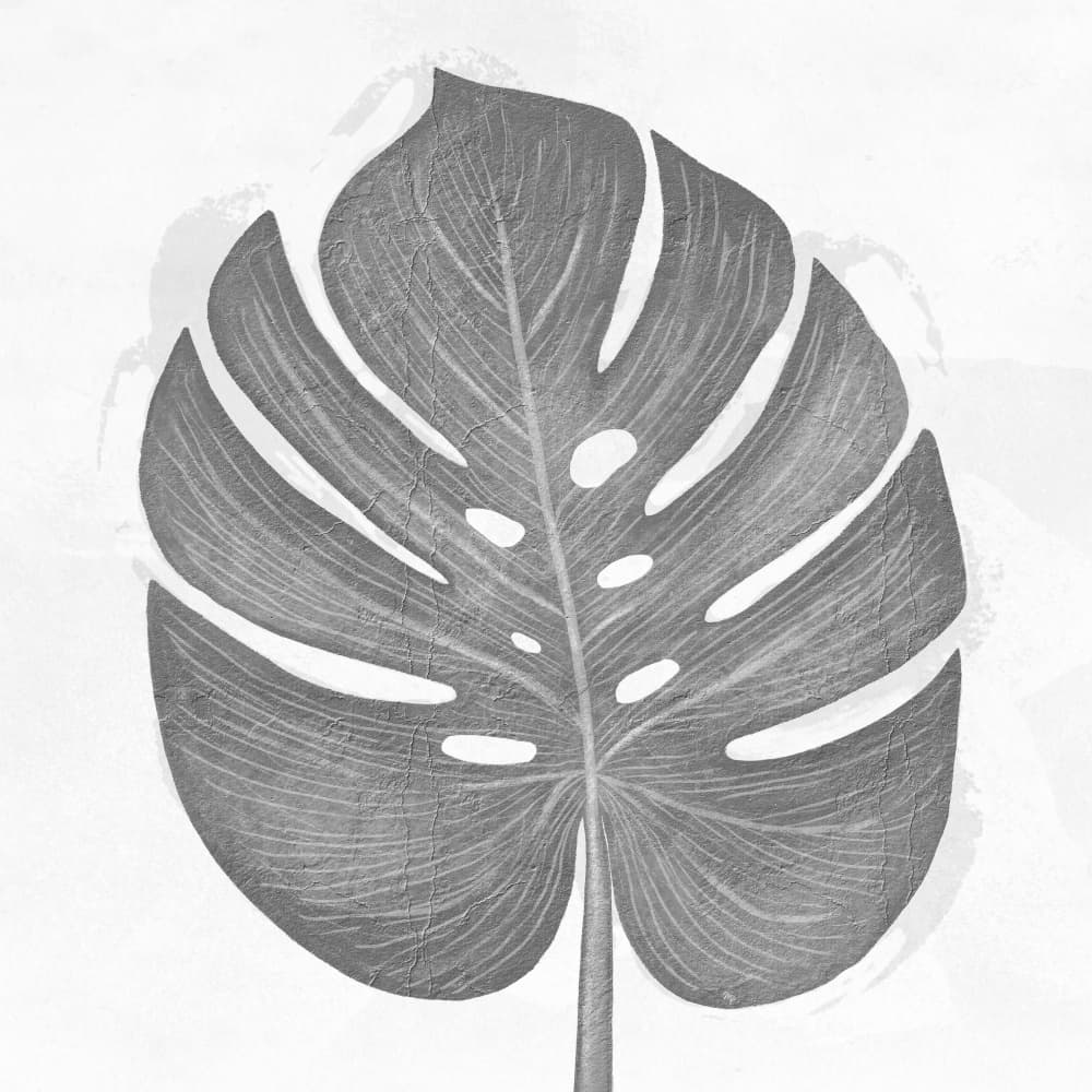 Textured Grey Monstera by Martina — canvas wall art