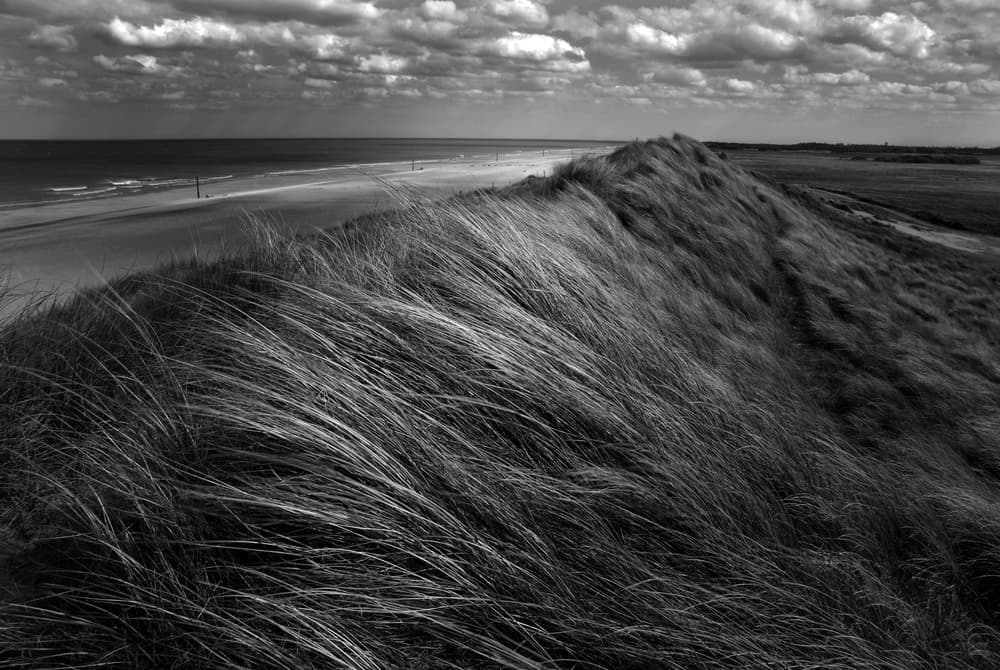 Windswept Dunes and Sea by Katarzyna Pardo — canvas wall art