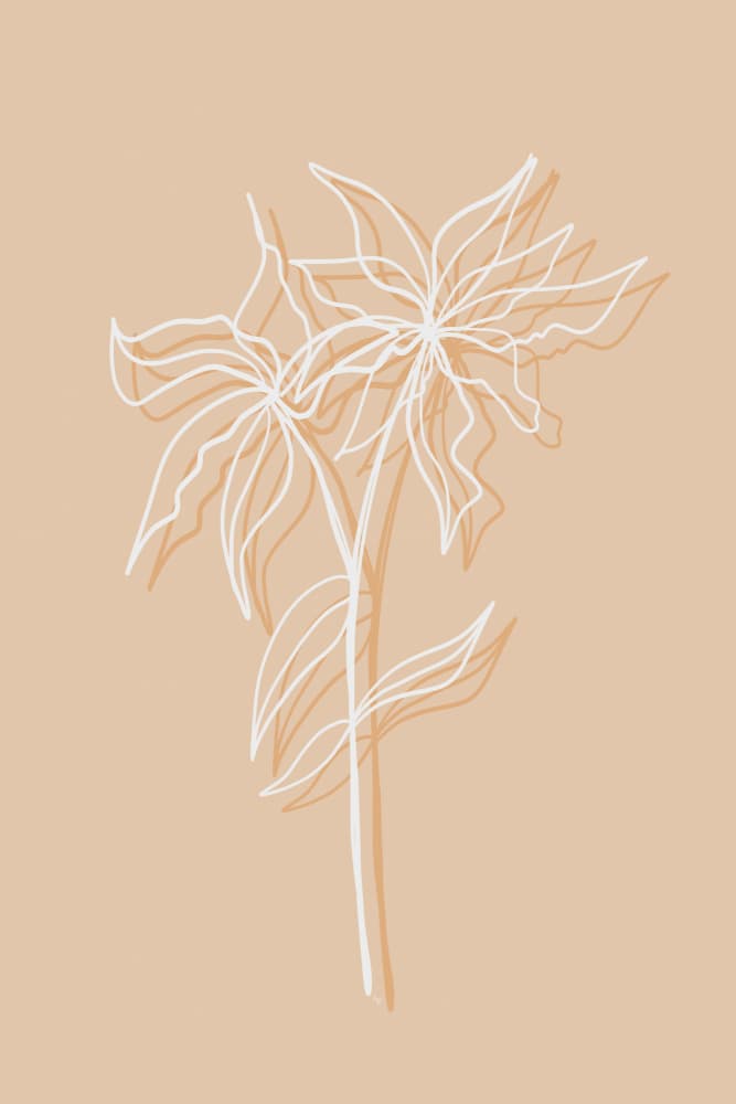 Soft Line Art Botanicals by Martina — canvas wall art