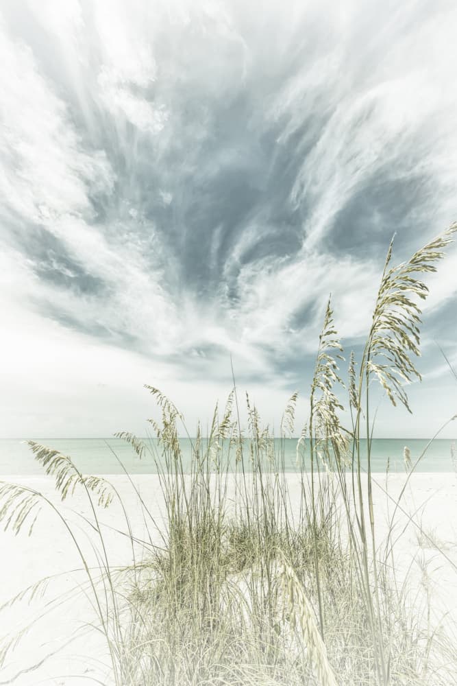 Beach Dunes Sky by Melanie Viola — canvas wall art
