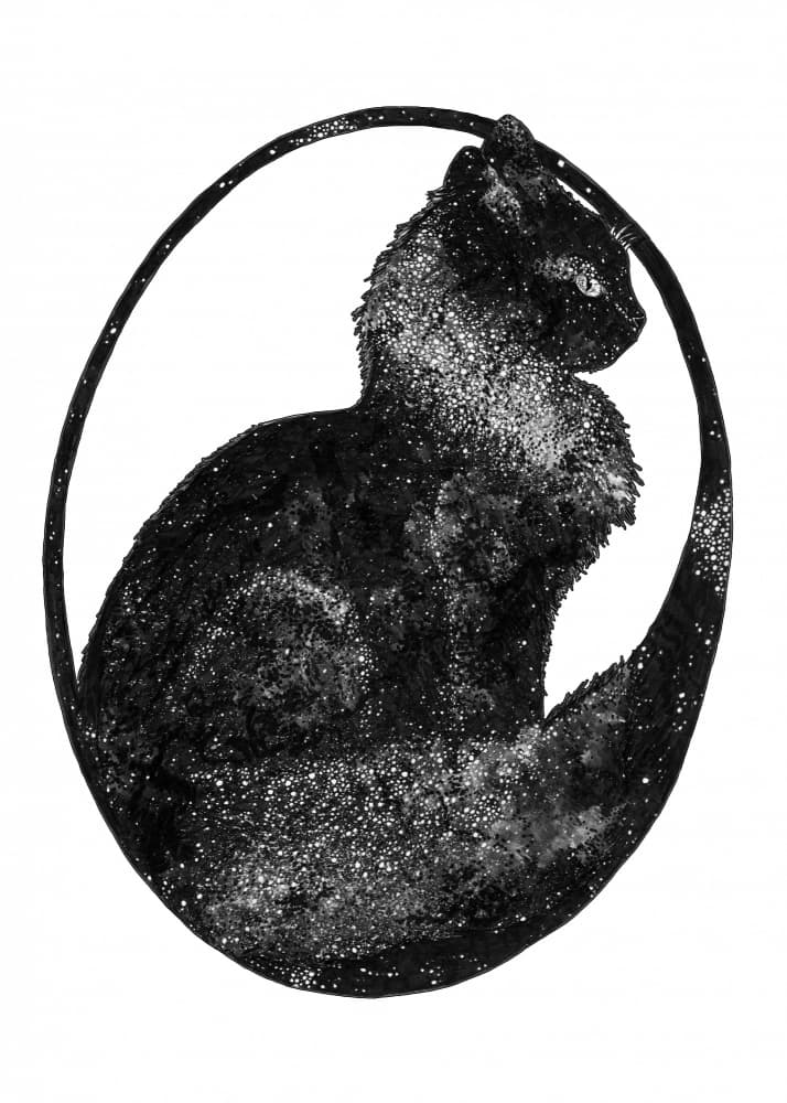 Celestial Black Cat by EC Mazur — canvas wall art