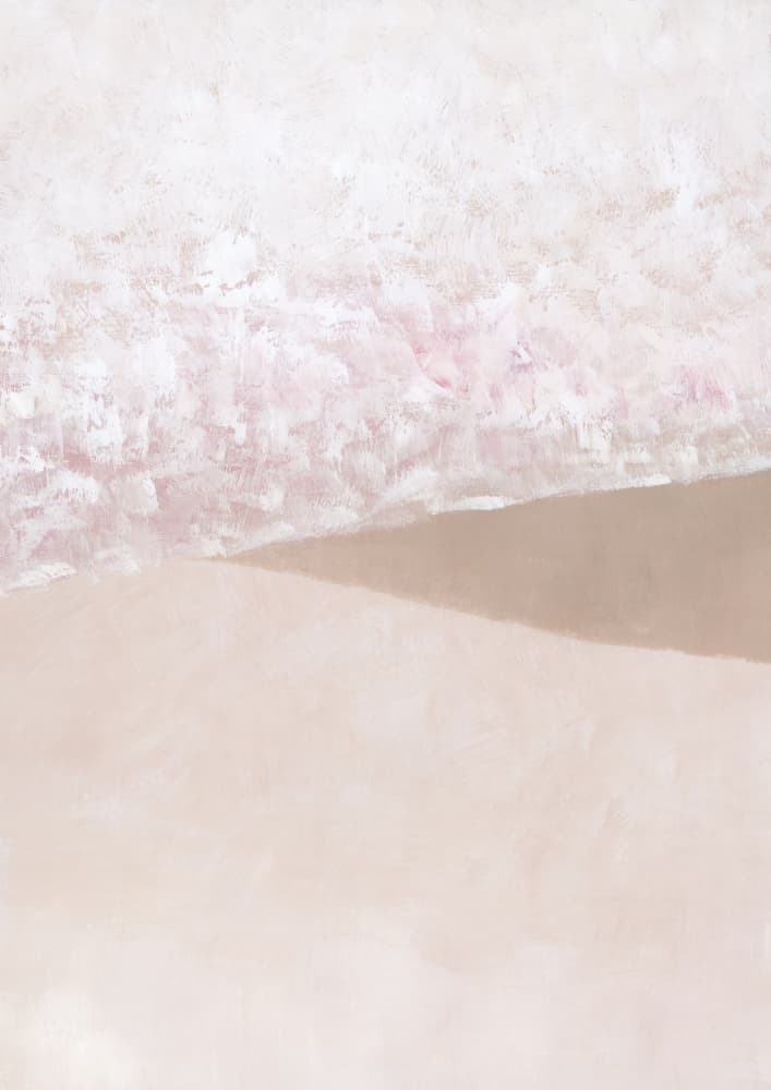Soft Blush Shadow by Rosana Laiz Blursbyai — canvas wall art