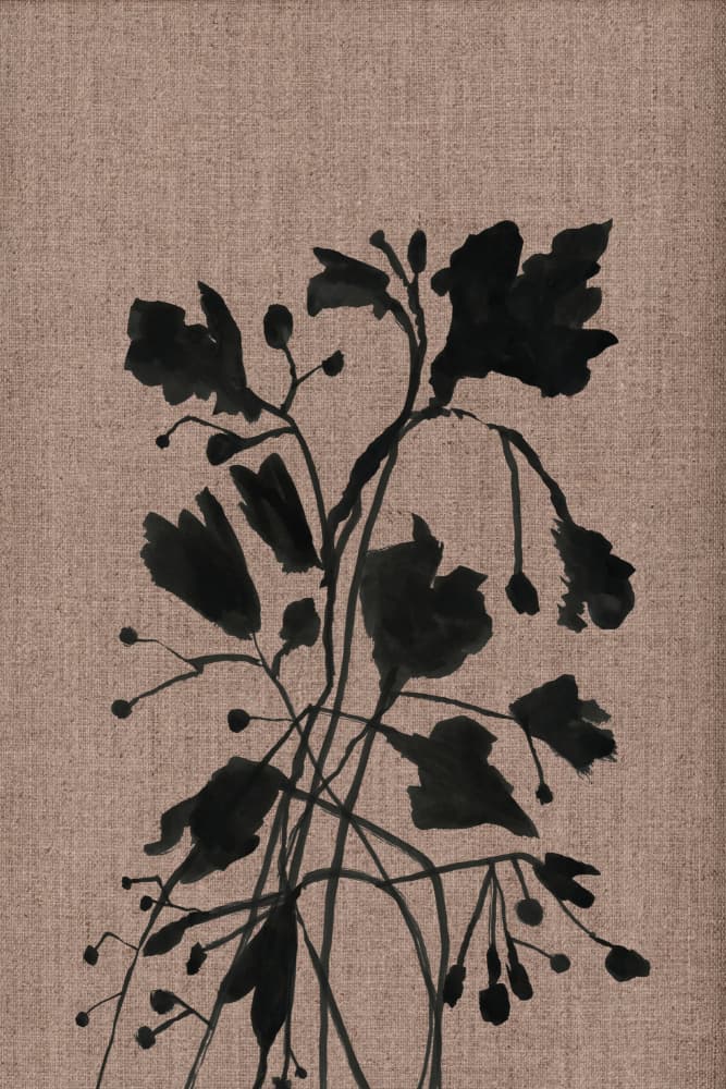 Black Botanical Silhouettes by cartissi — canvas wall art