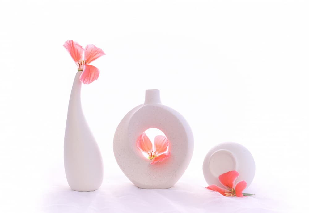 Soft Pink Still Life by Alice Sheng — canvas wall art