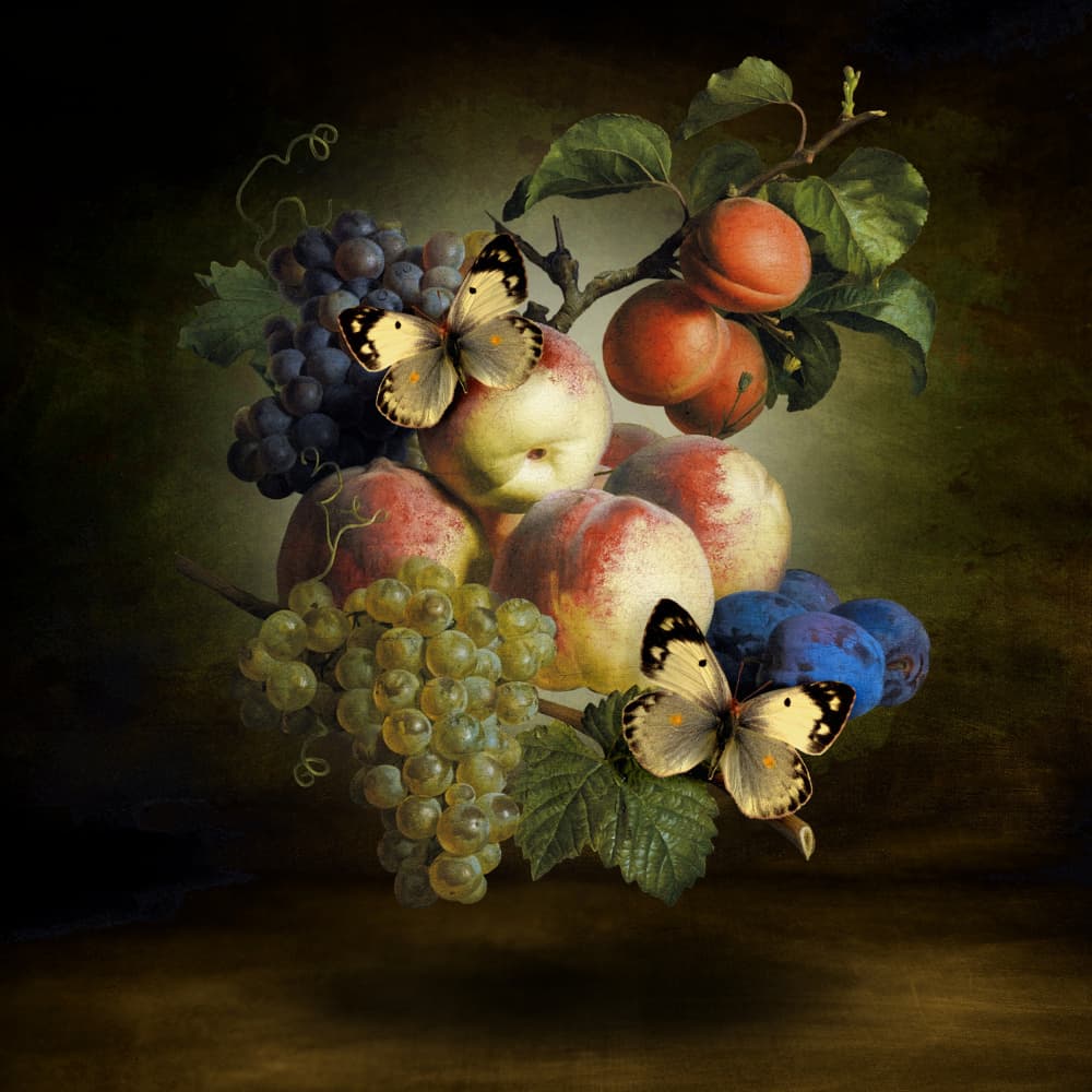Abundant Fruit and Butterflies