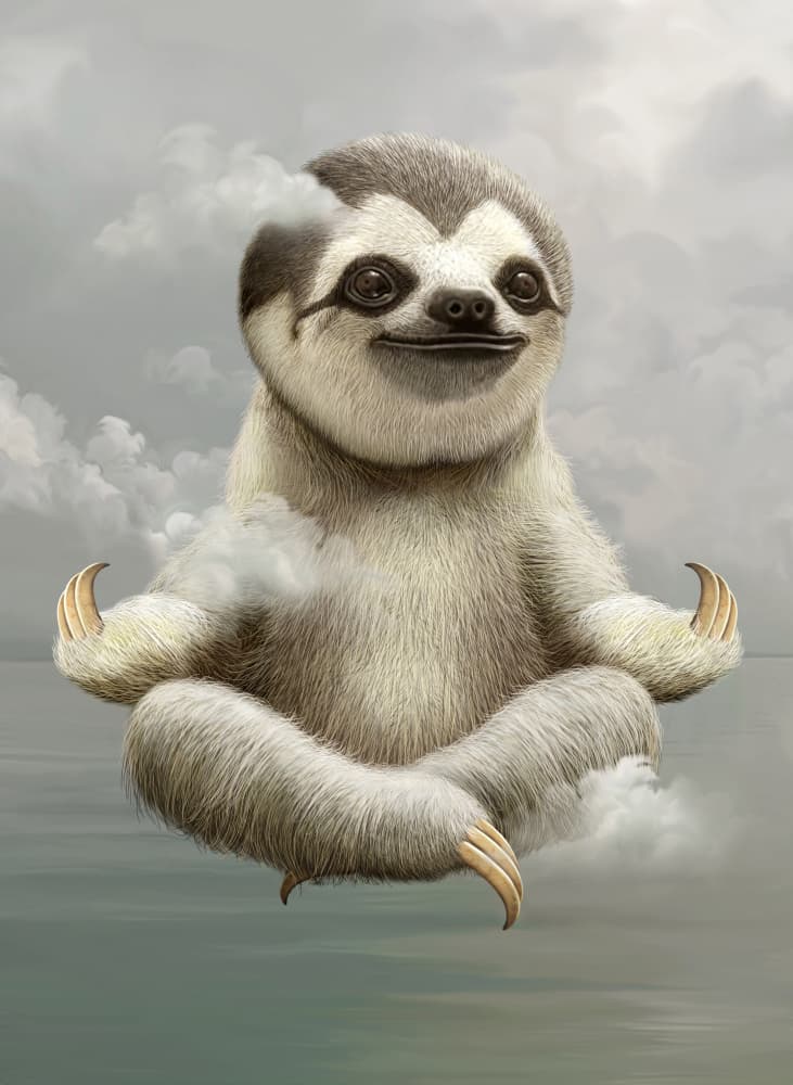 Floating Zen Sloth by Adam Lawless — canvas wall art
