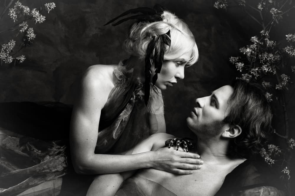 Mysterious Lovers Spider by Ineke Mighorst — canvas wall art