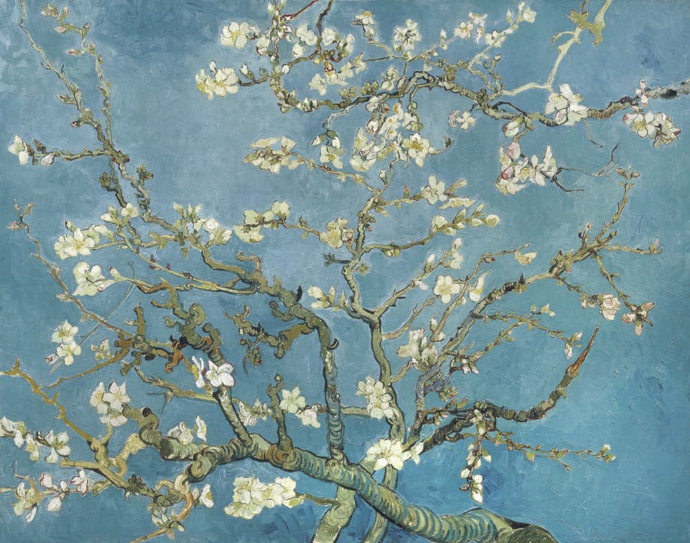 Vincent Van Gogh's Almond Blossom (1890) by Vincent Van Gogh — canvas wall art