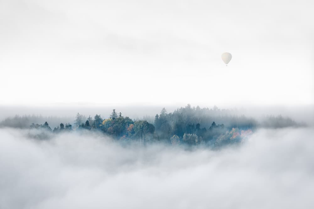 Misty Forest Hot Air Balloon by Matthias Bergolth — canvas wall art