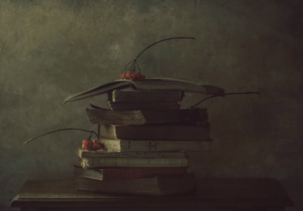 Autumn Books And Berries by Delphine Devos — canvas wall art