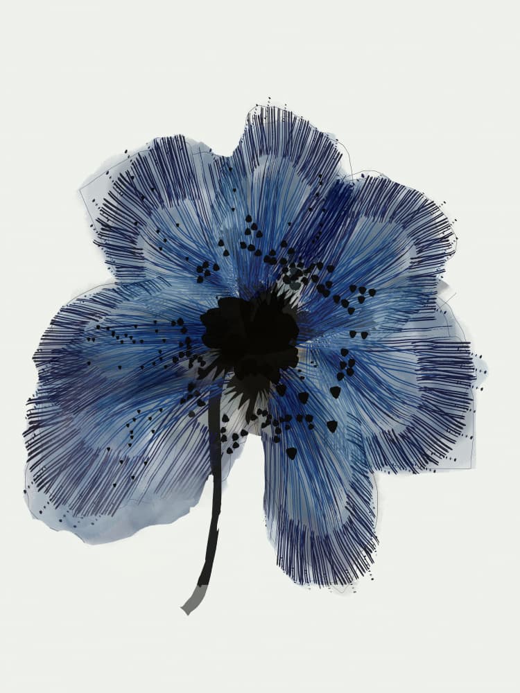 Delicate Blue Bloom by casa cartissi — canvas wall art