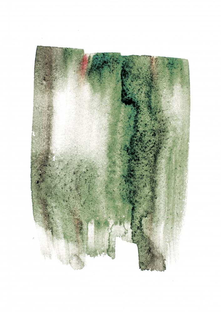 Mossy Cascade by Shot by Clint — canvas wall art