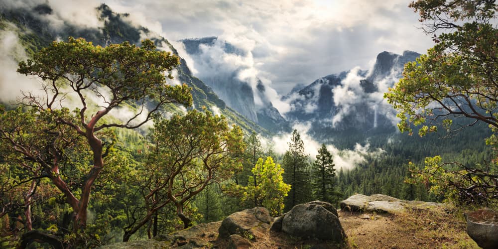 Tunnel View by Stefan Hefele — canvas wall art