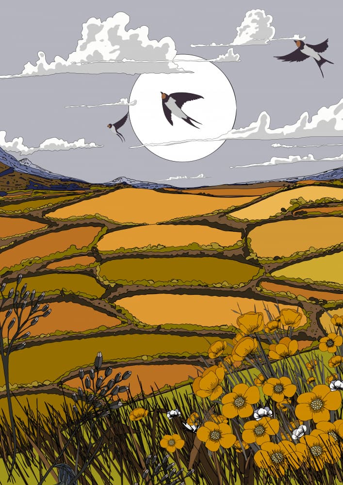Swallows Over Golden Fields by Nicholas — canvas wall art