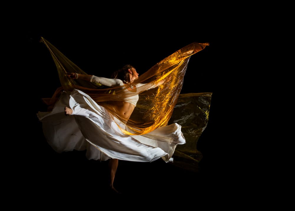 Golden Wings Dance by Oren Yacov — canvas wall art