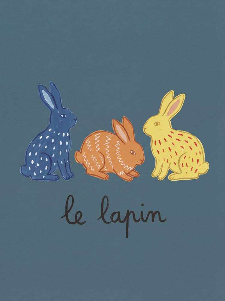 Playful French Rabbits by Andreas Magnusson — canvas wall art