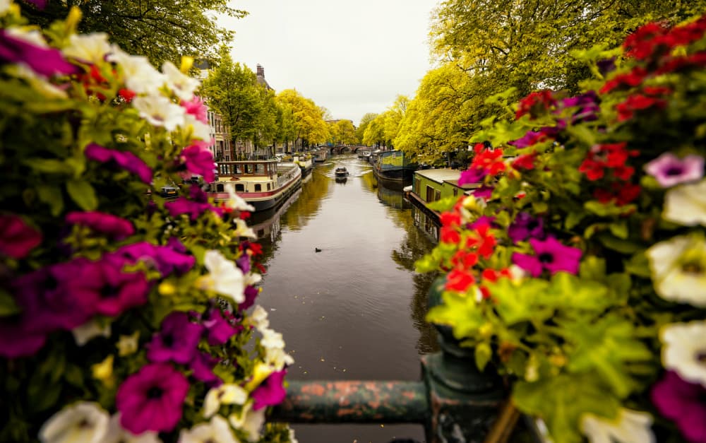 Amsterdam Canal Flower View by Merthan Kortan — canvas wall art