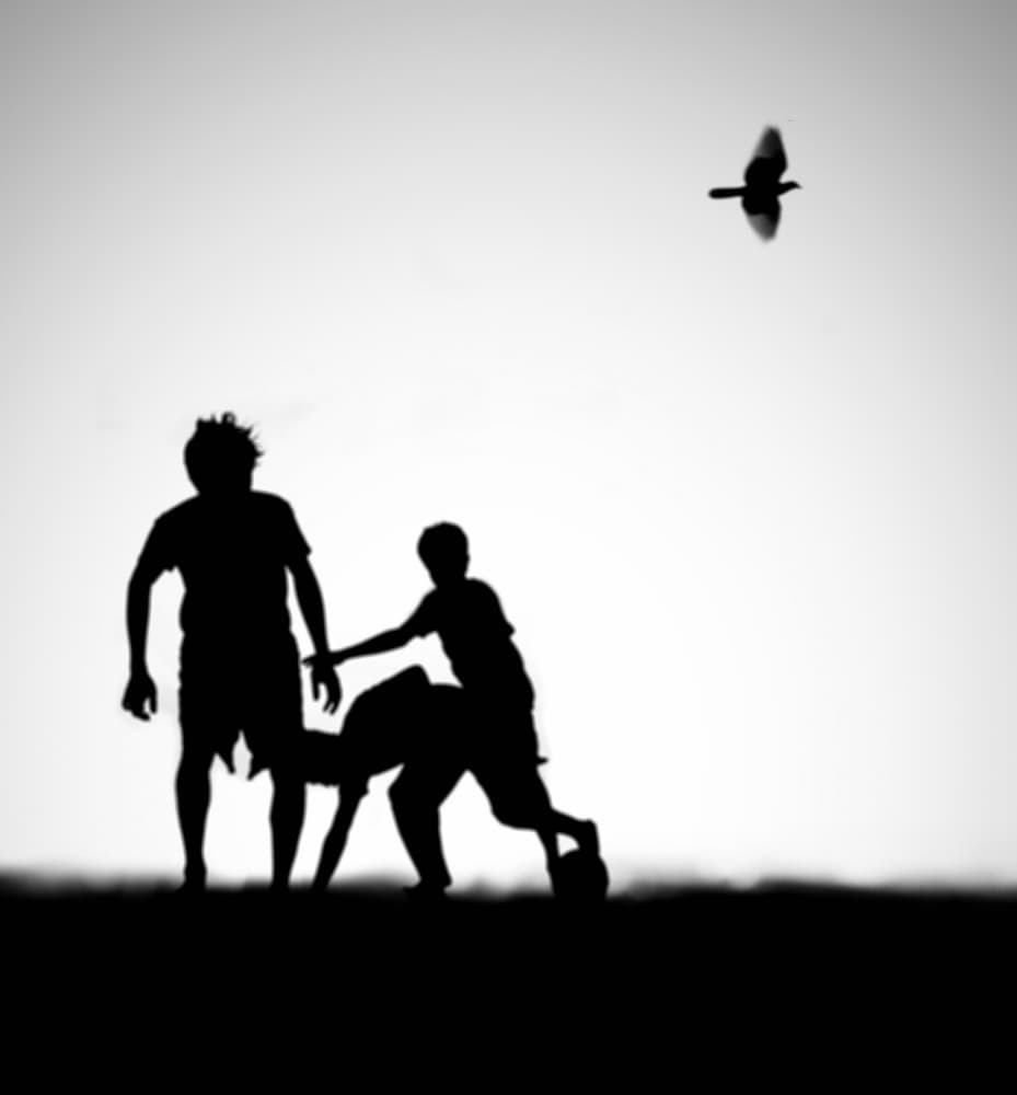 Playful Sky Silhouettes by Hengki Lee — canvas wall art