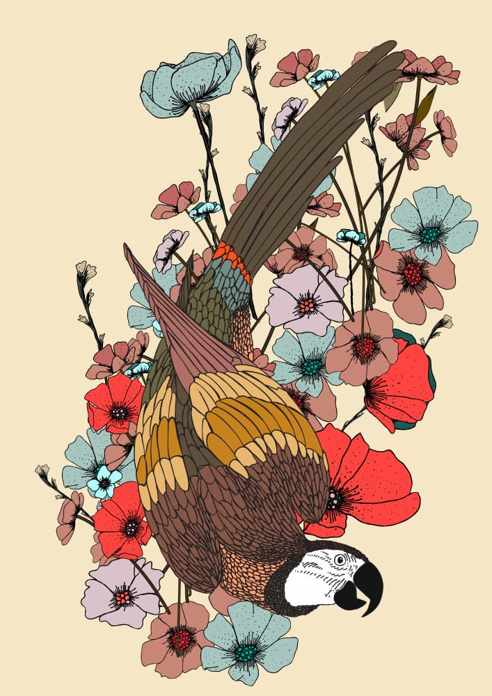 Vibrant Parrot Blooms by Nicholas — canvas wall art