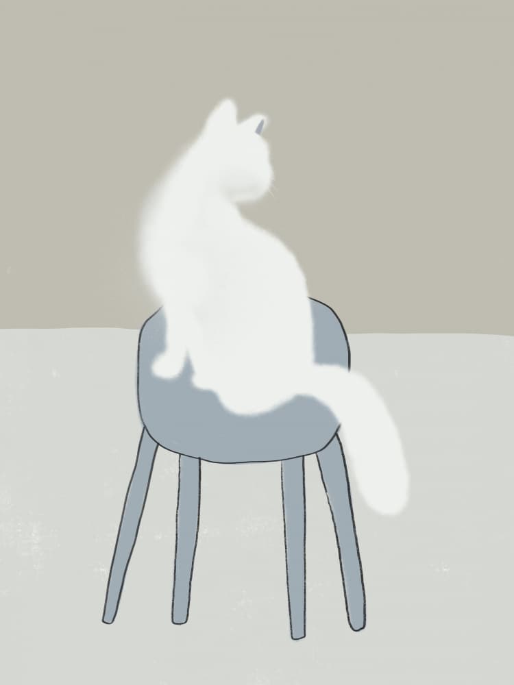 White Cat Sitting by Little Dean — canvas wall art