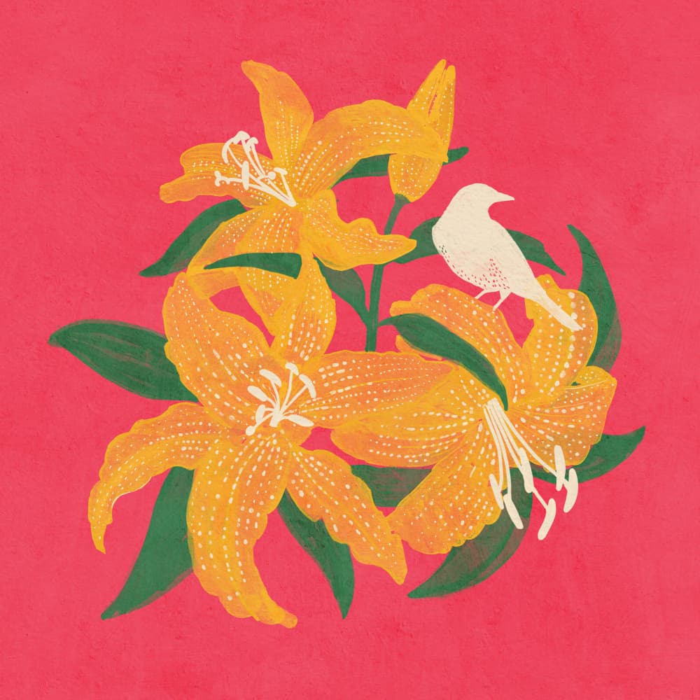 Bird and Lilly by Katie O'Shea — canvas wall art