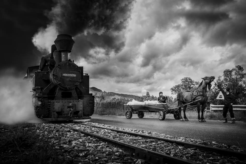 Steam Train Horse Encounter by Vlad Paulet — canvas wall art