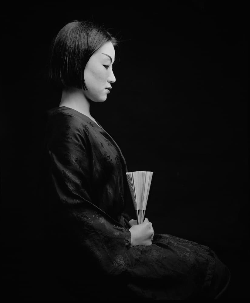 Elegant Profile with Fan by Allan Li wp — canvas wall art