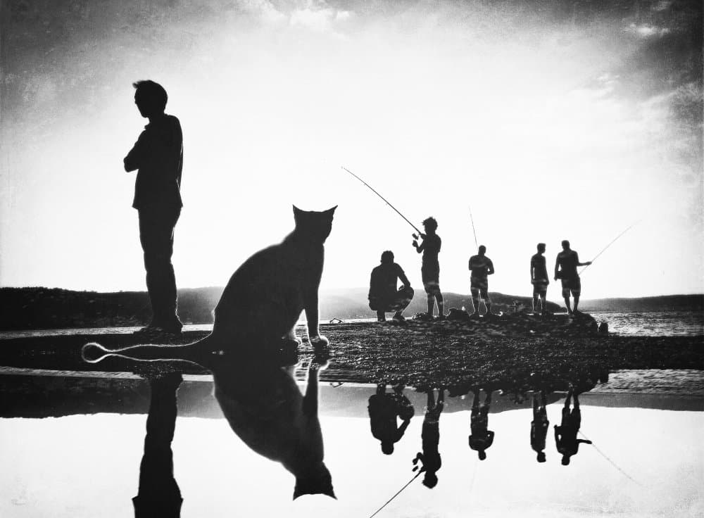 Man Cat Fishing Reflections by Yalım Vural — canvas wall art