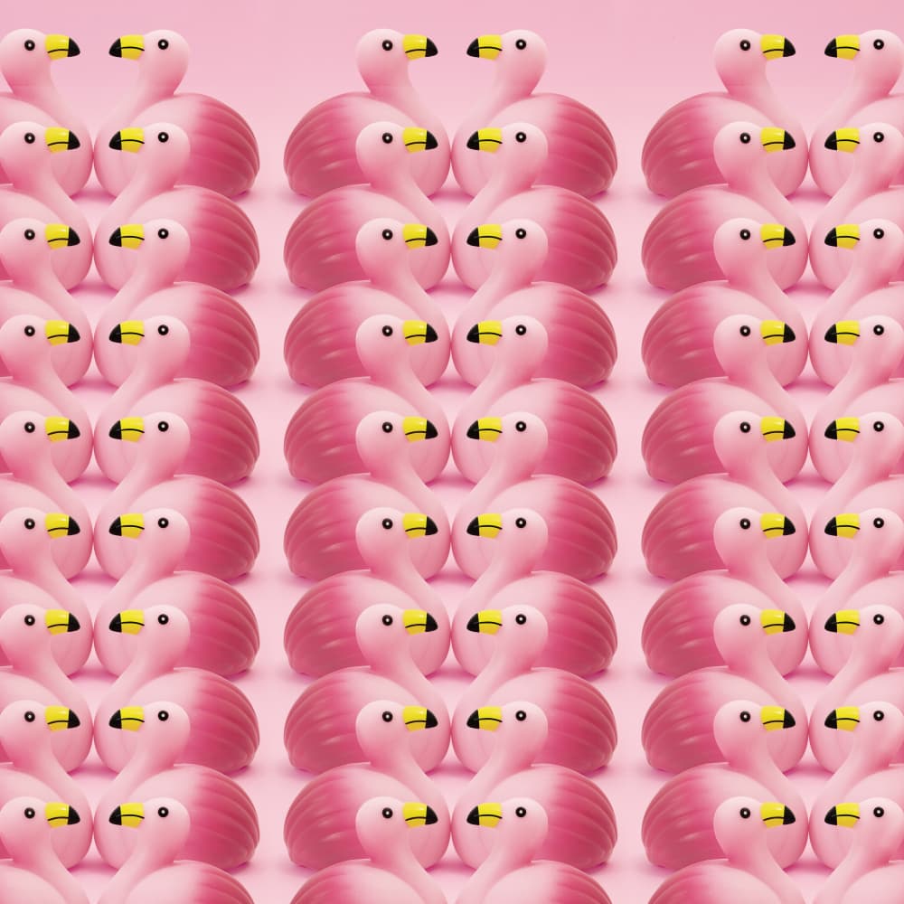 Pink Flamingo Flock by Julia Ramiro — canvas wall art