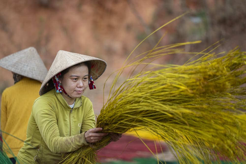 Vietnamese Craft Work by Joseph Ng — canvas wall art