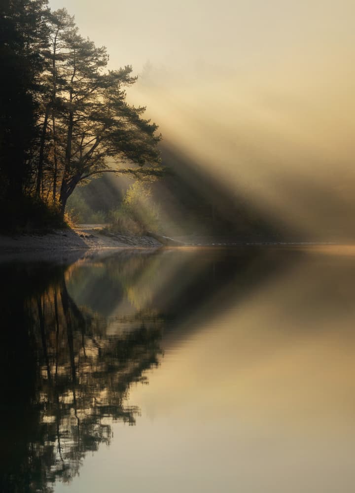 Golden Morning Lake Reflection by Ales Krivec — canvas wall art