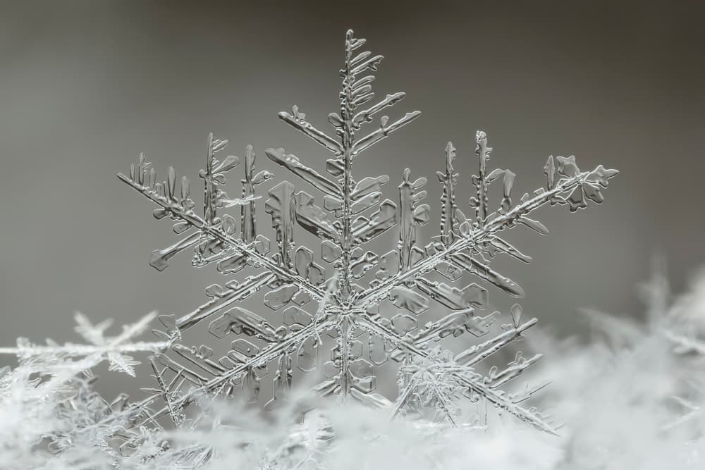 Intricate Winter Snowflake by Tsolmon Naidandorj — canvas wall art