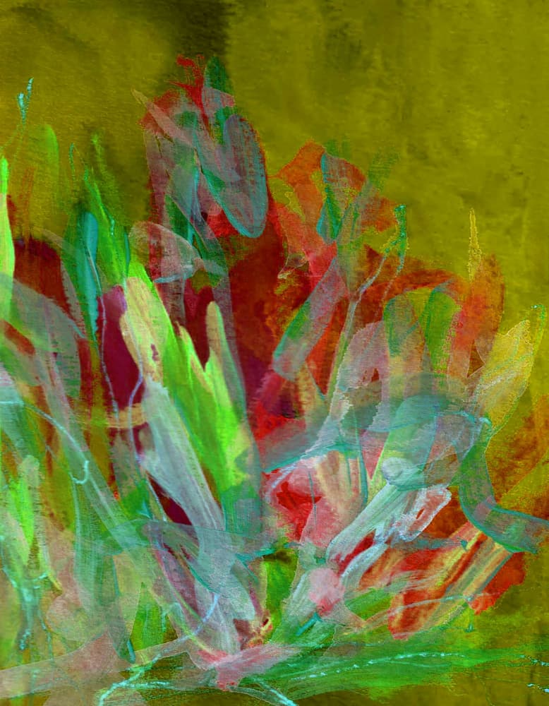 Vibrant Abstract Growth by Lori Ann Folz — canvas wall art