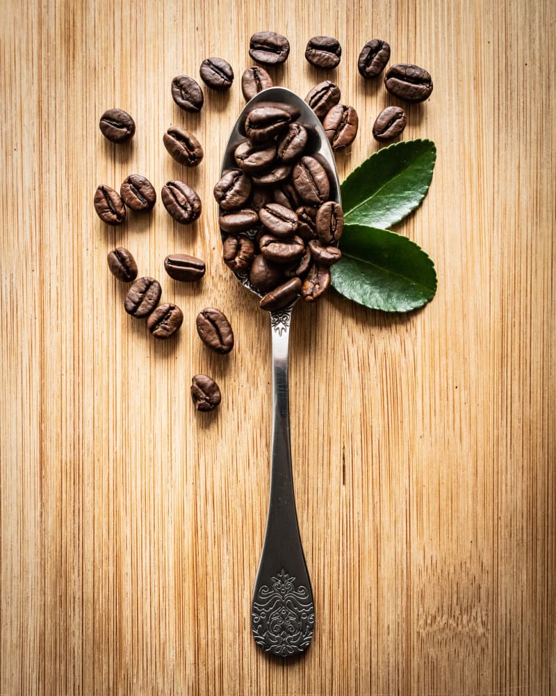 Roasted Coffee Spoon by Roxi Condrea — canvas wall art