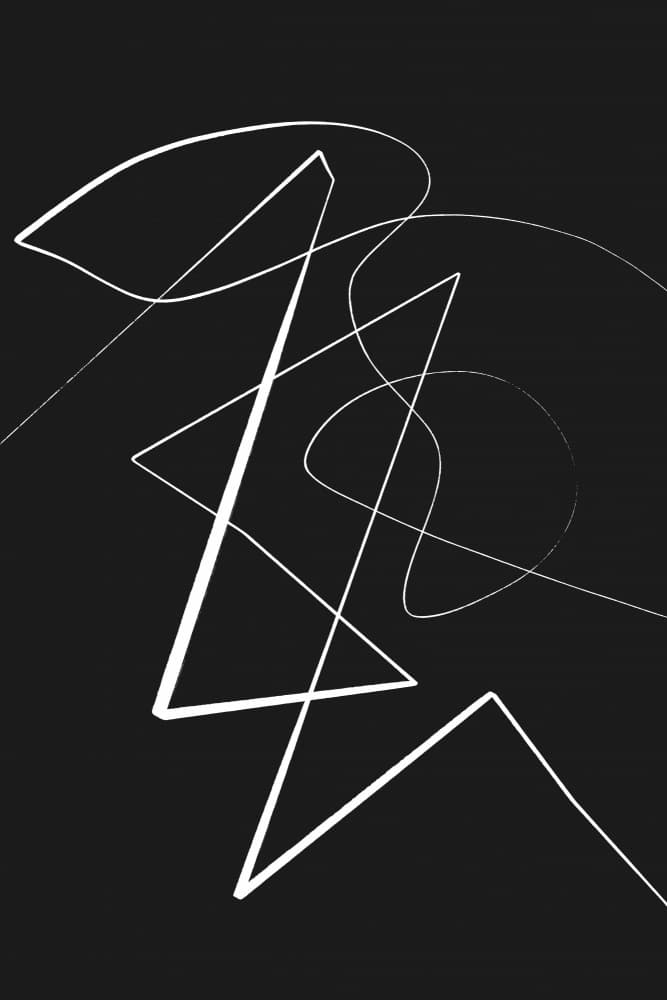 Chaotic Harmony by Treechild — canvas wall art