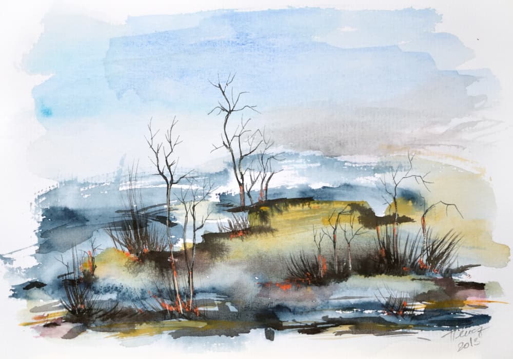 Misty Autumn Wetland by Aniko Hencz — canvas wall art