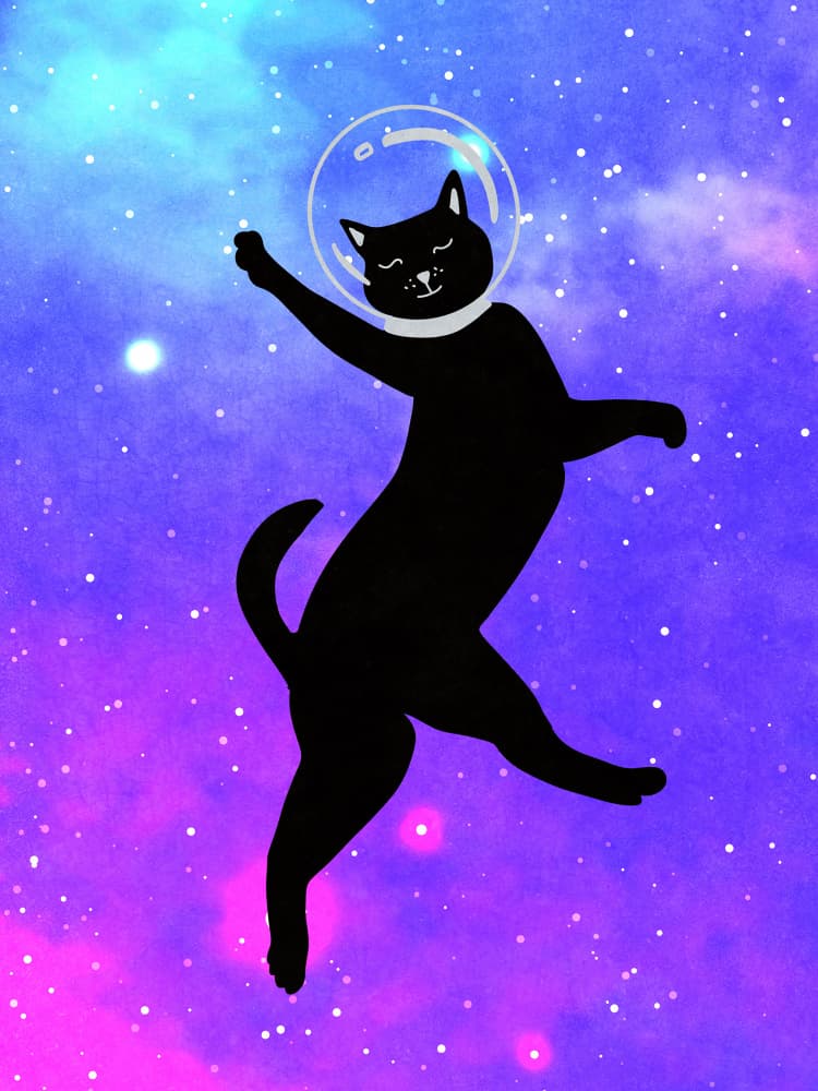 Happy Space Cat by Raissa Oltmanns — canvas wall art