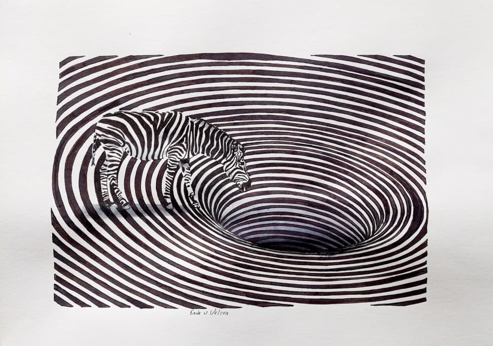 Zebra Vortex Illusion by Erik Van Velzen — canvas wall art