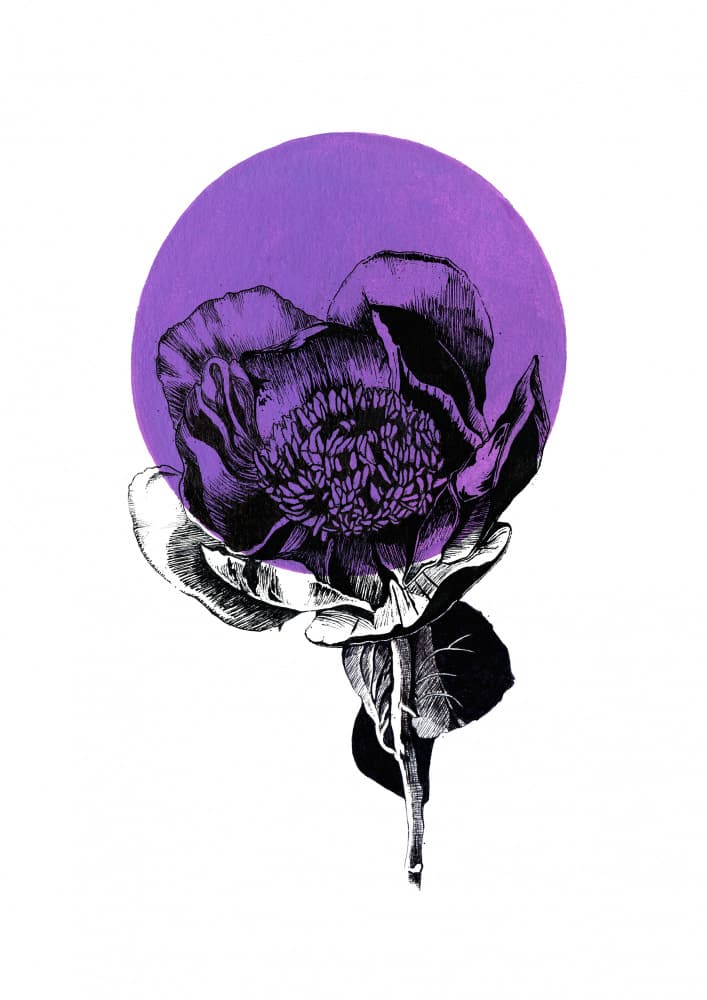 Abstract Purple Peony by Roxanne Moolman — canvas wall art