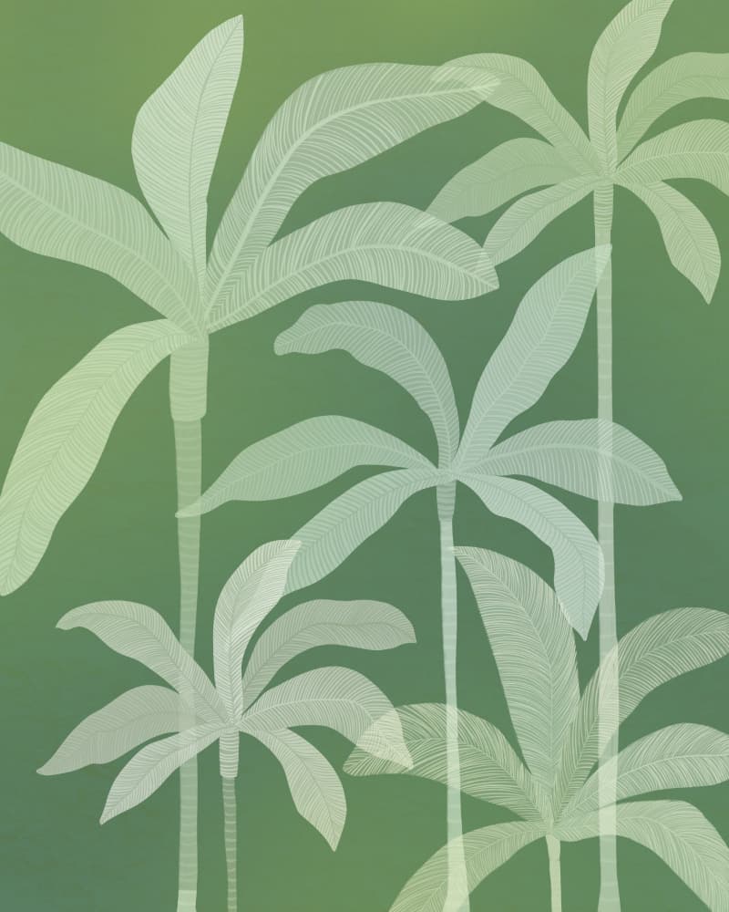 Serene Green Palms by Kristian Gallagher — canvas wall art